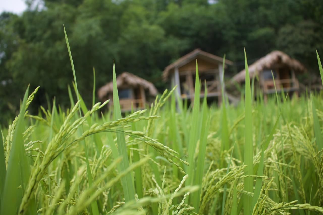 Little Mai Chau Home Stay Exterior foto