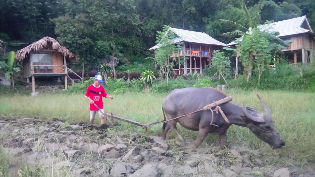 Little Mai Chau Home Stay Exterior foto