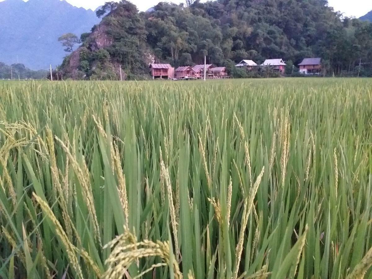 Little Mai Chau Home Stay Exterior foto